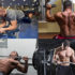 Study Reveals: What’s the Ideal Number of Sets to build Muscle Mass